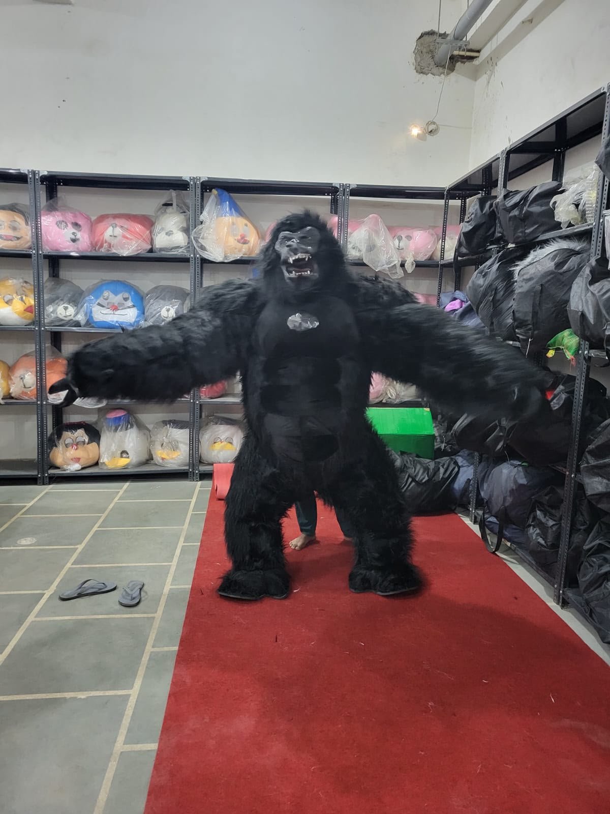 Mascot at event
